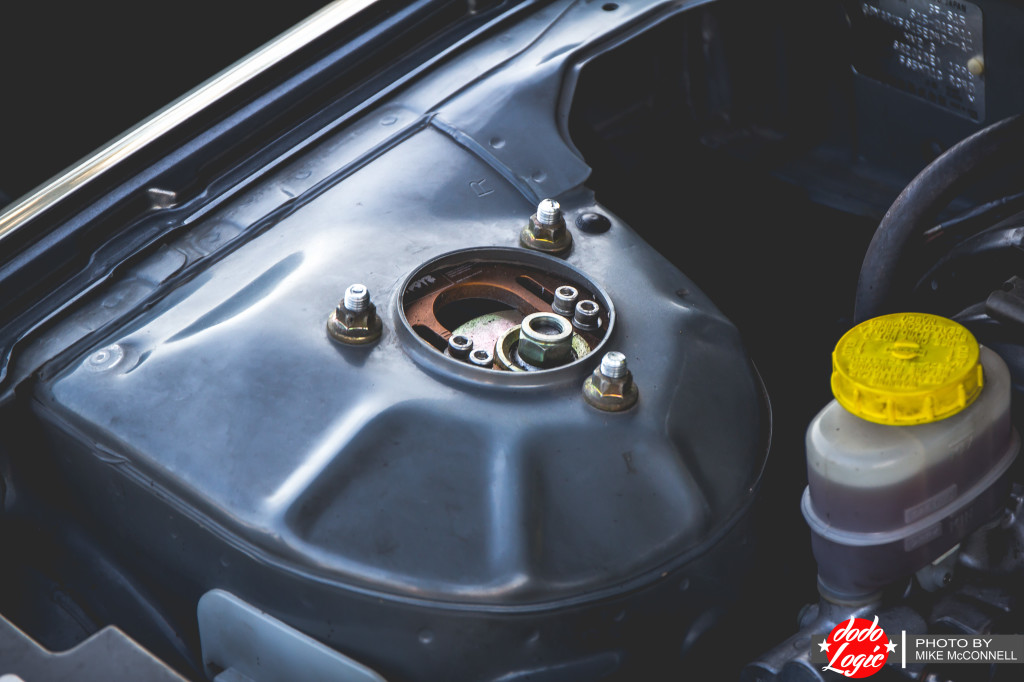 Dodo_eric_shoot_mike-2